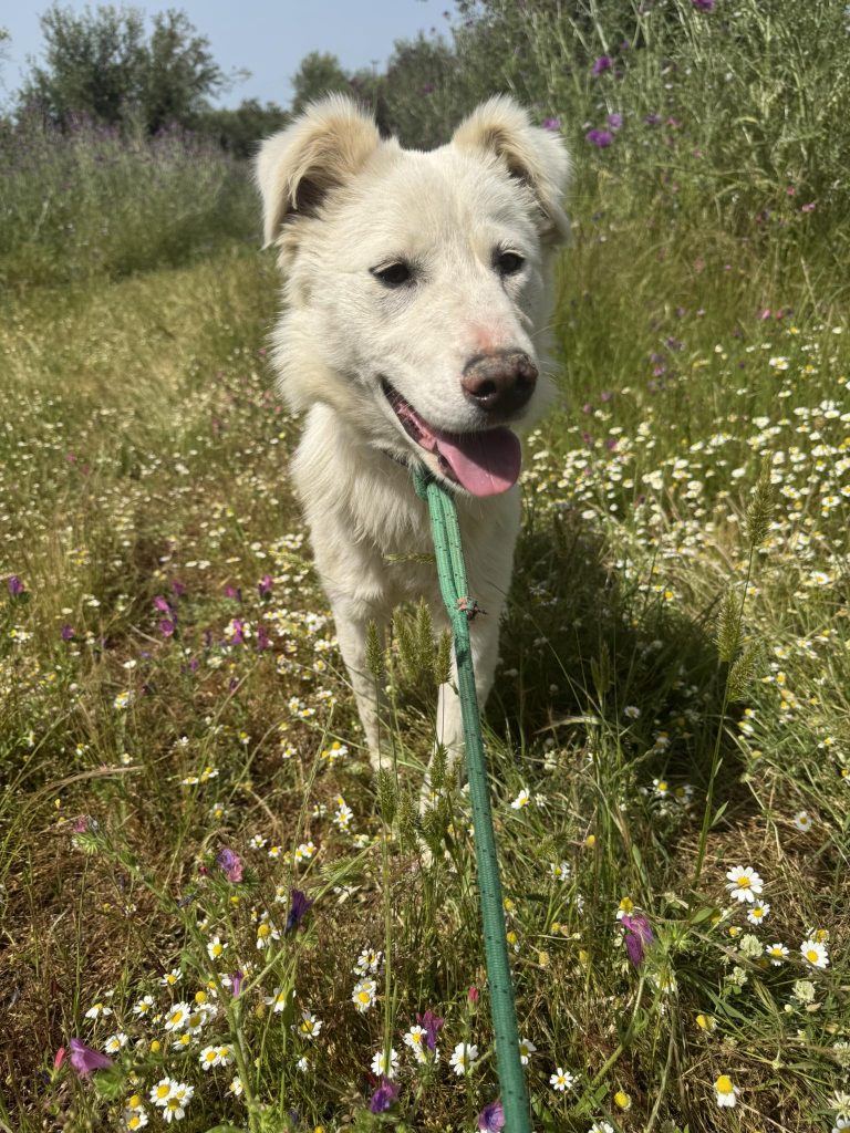 Delilah