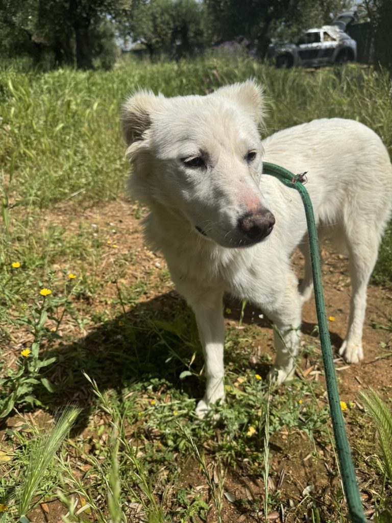 Delilah