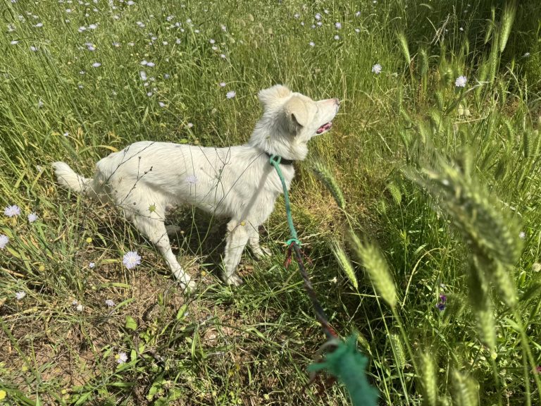 Delilah