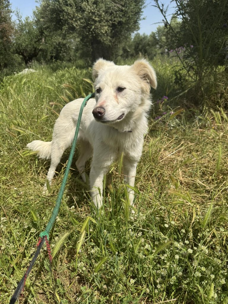 Delilah