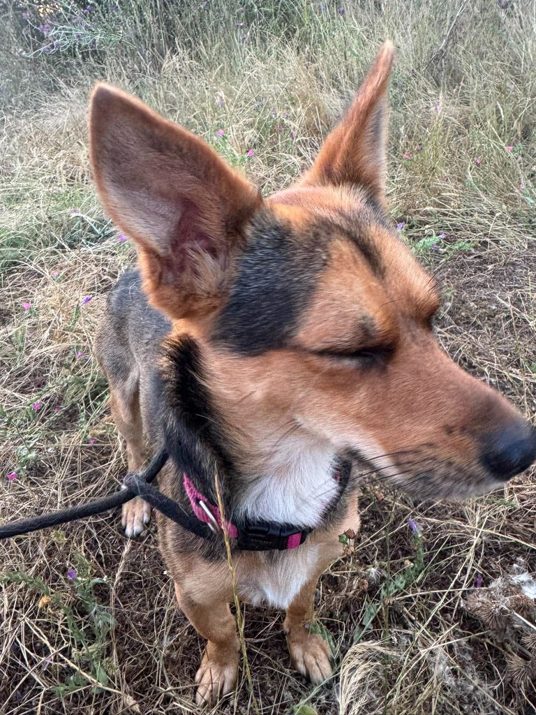 Max