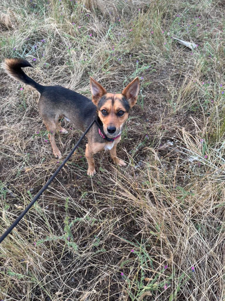 Max