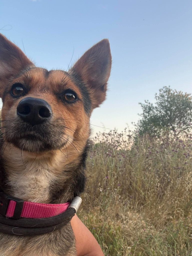 Max