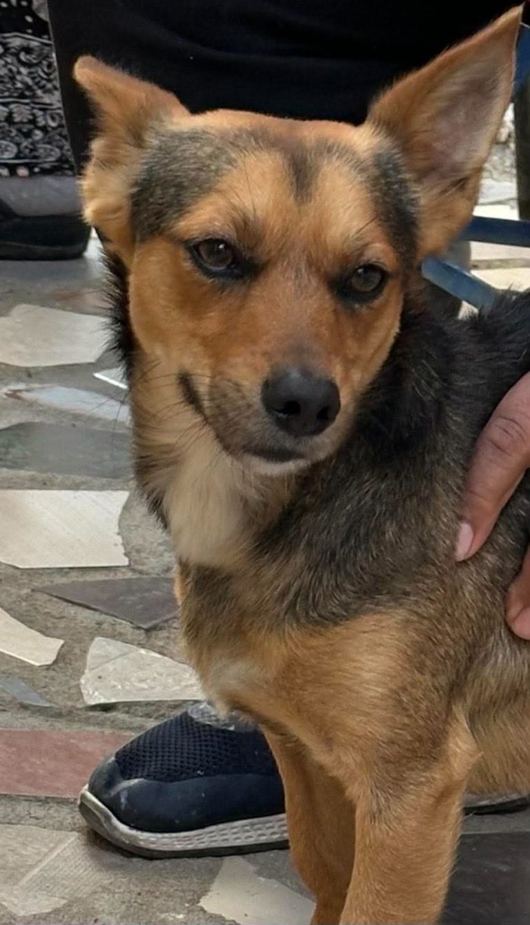 Max
