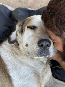 Cuddles 5