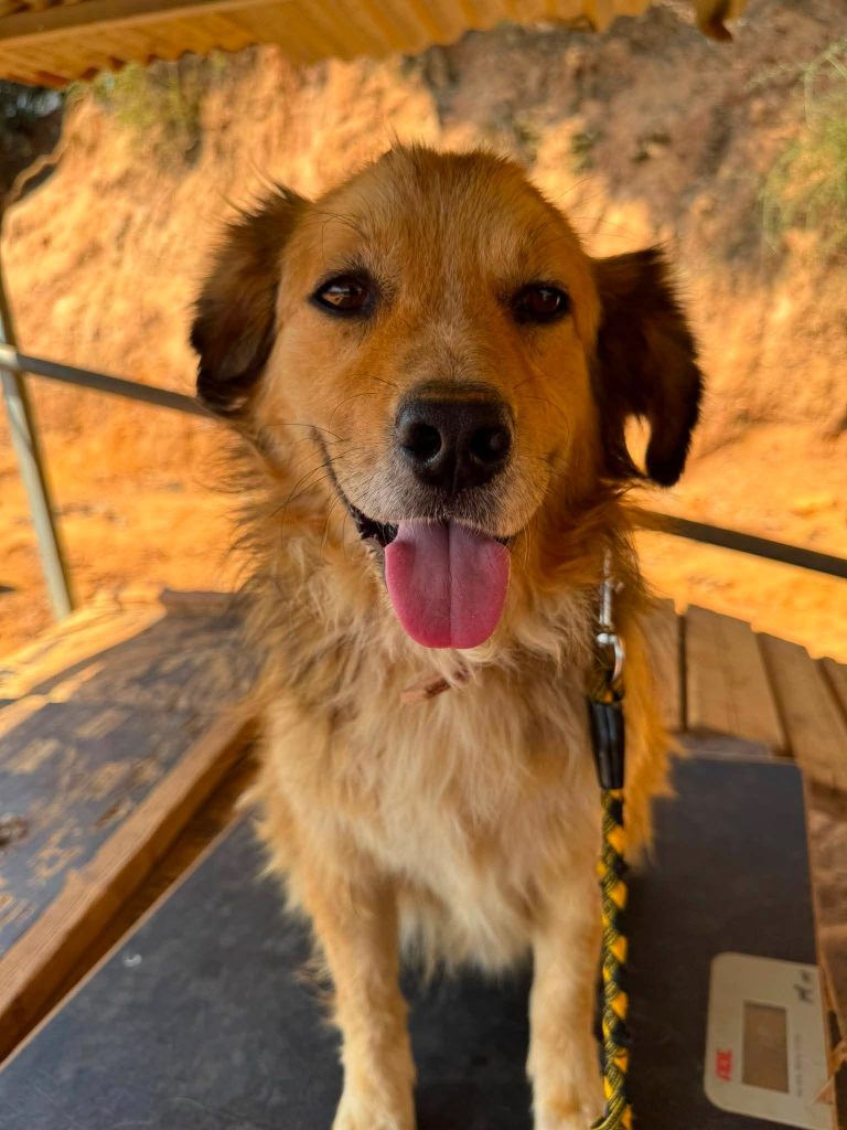 Benny