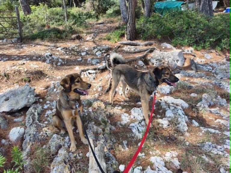 Kai & Kalle