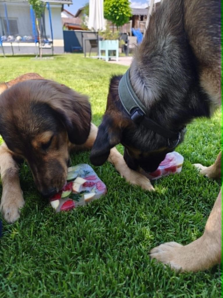 Kai & Kalle