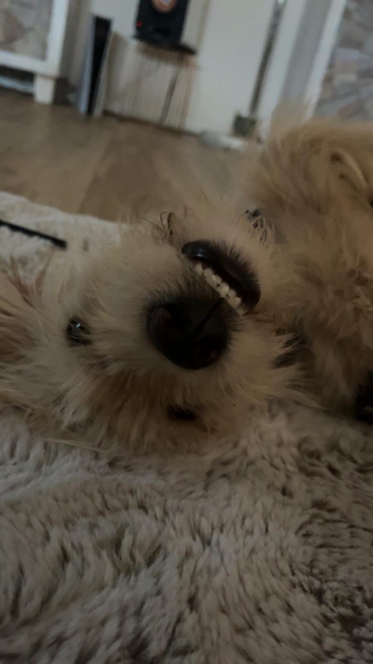 Fluffy