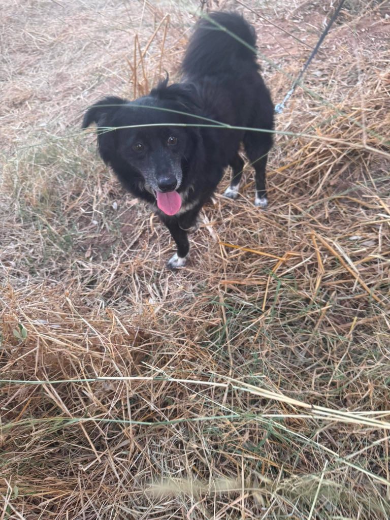 Rudy