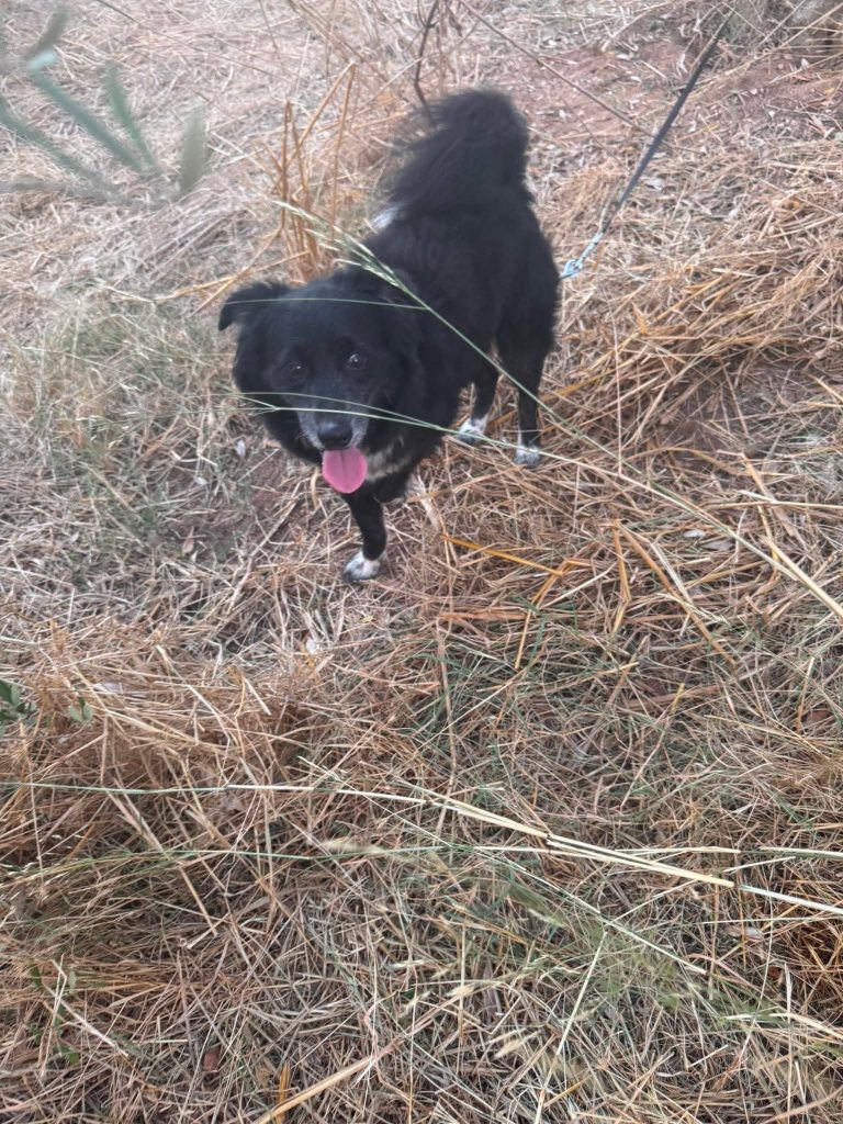 Rudy