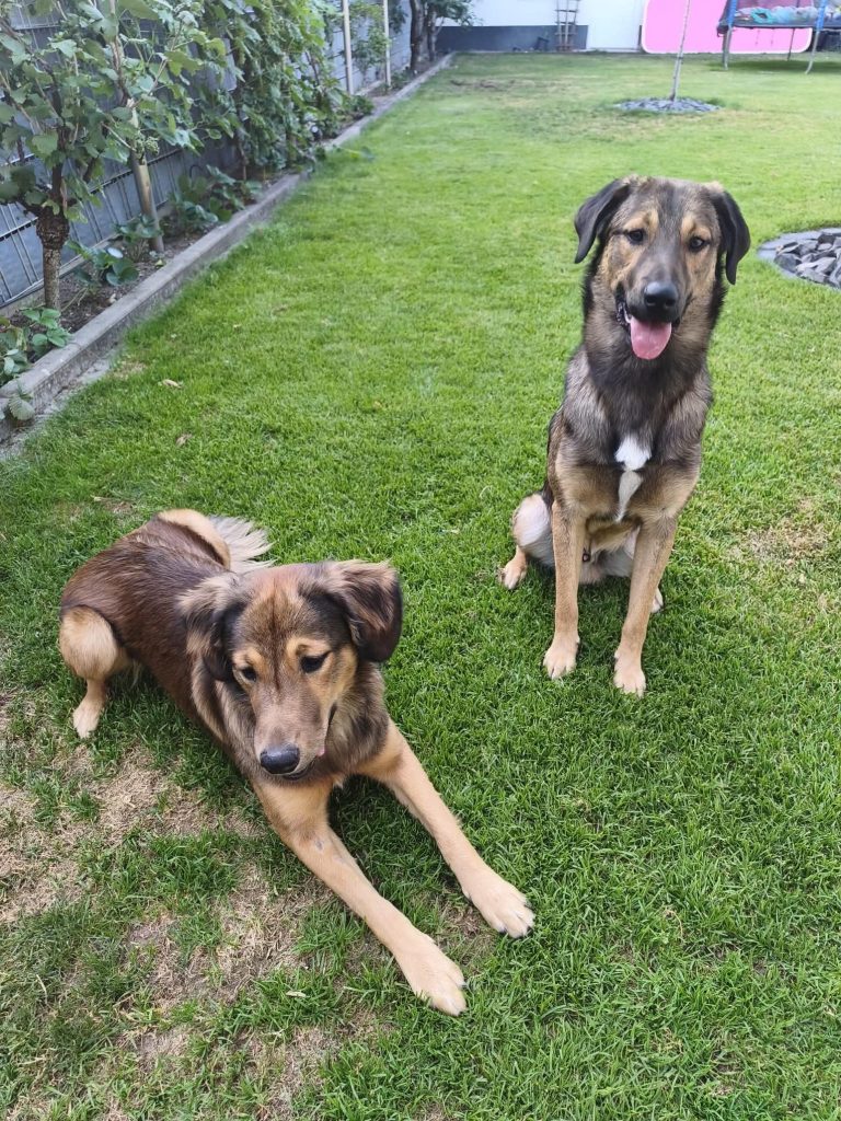 Home 3 Kai & Kalle