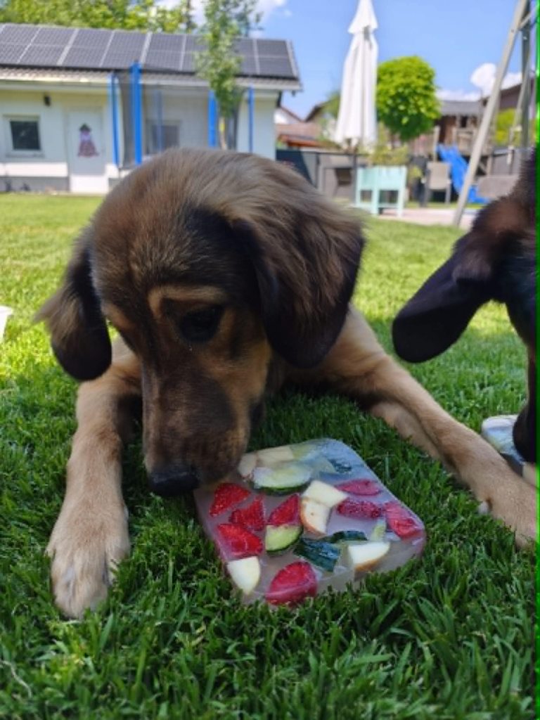 Kai & Kalle