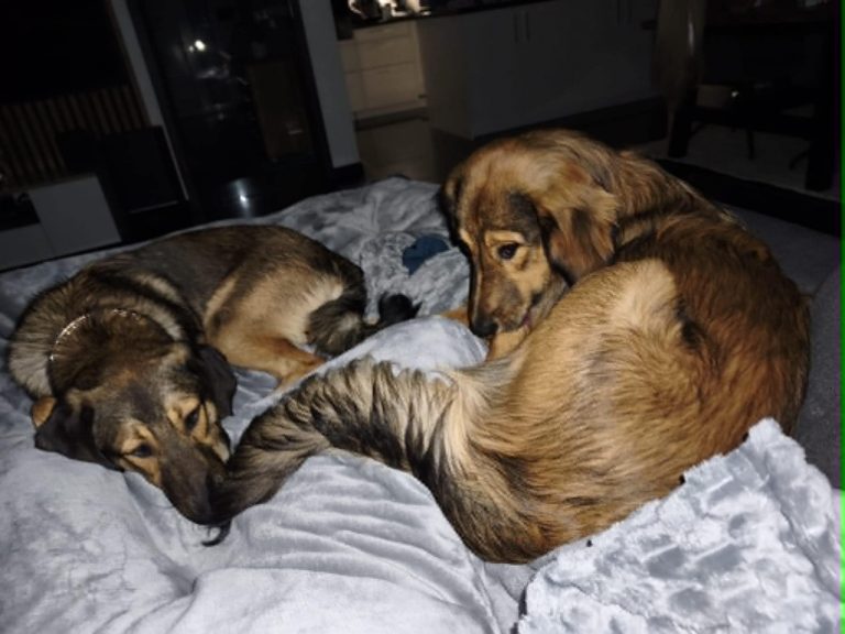Kai & Kalle