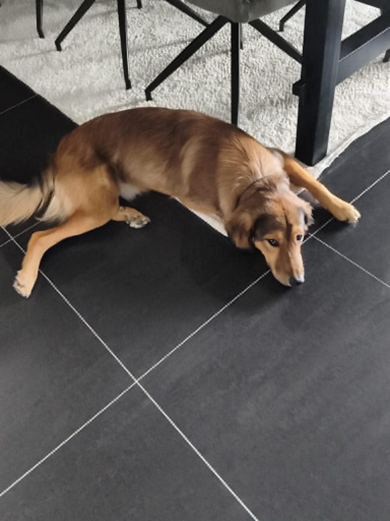 Kai & Kalle