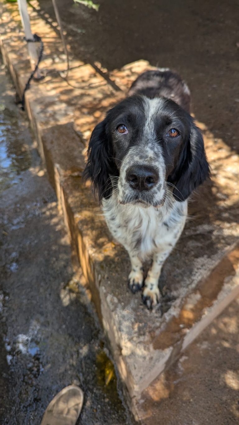 Jenny