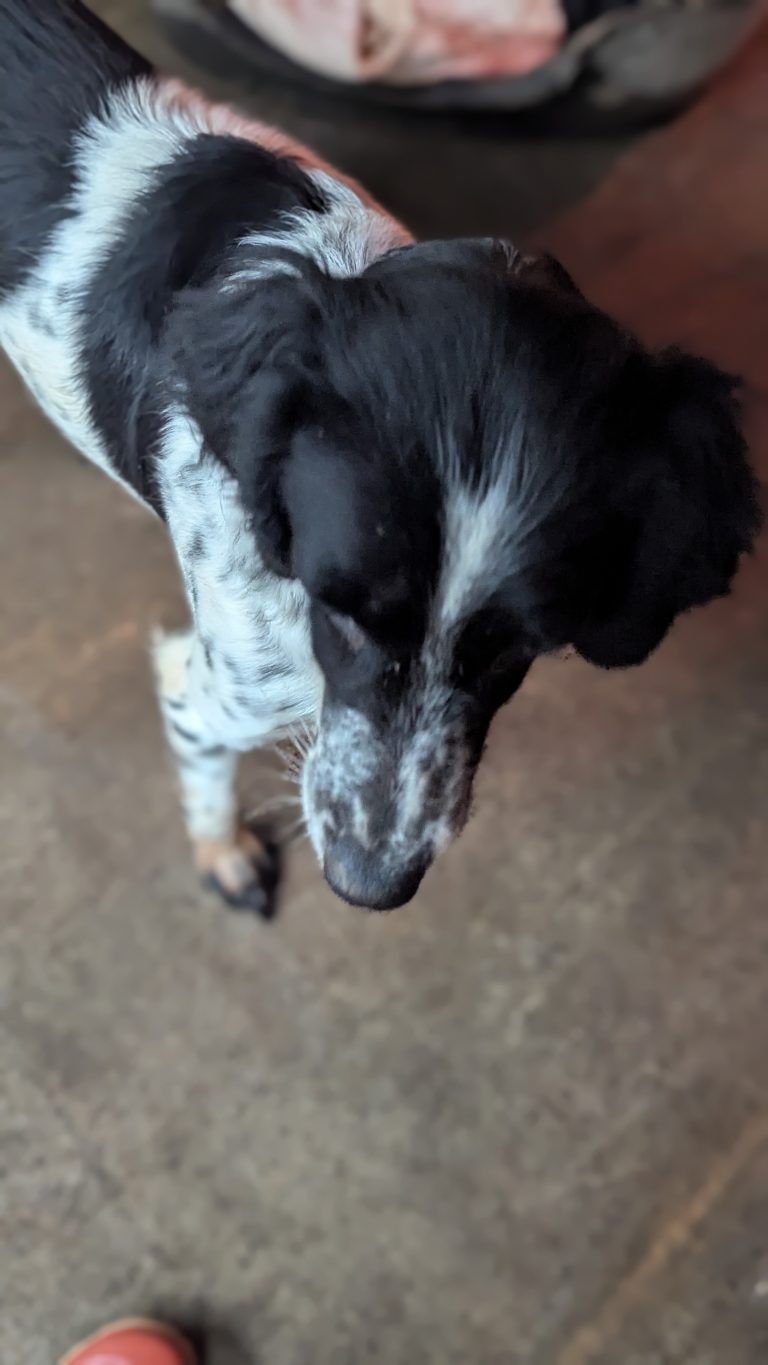 Jenny