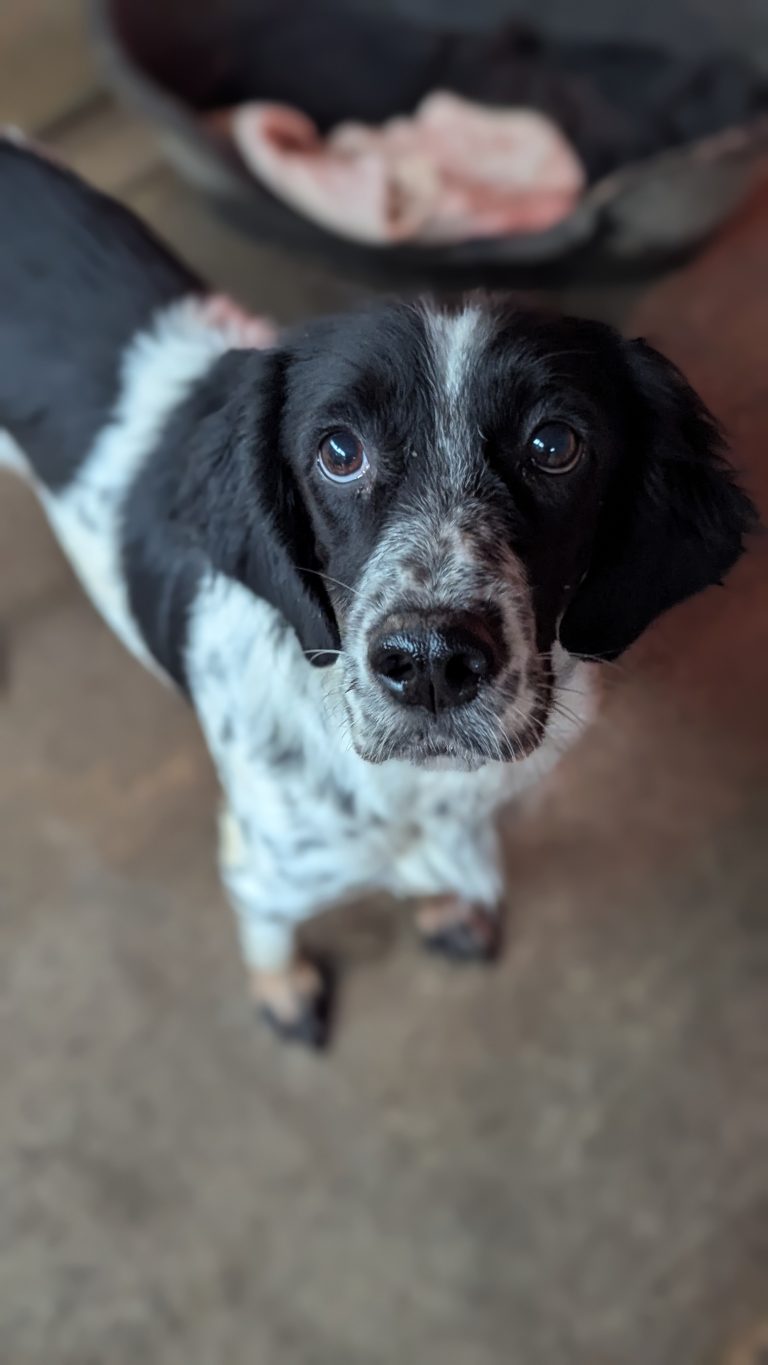 Jenny