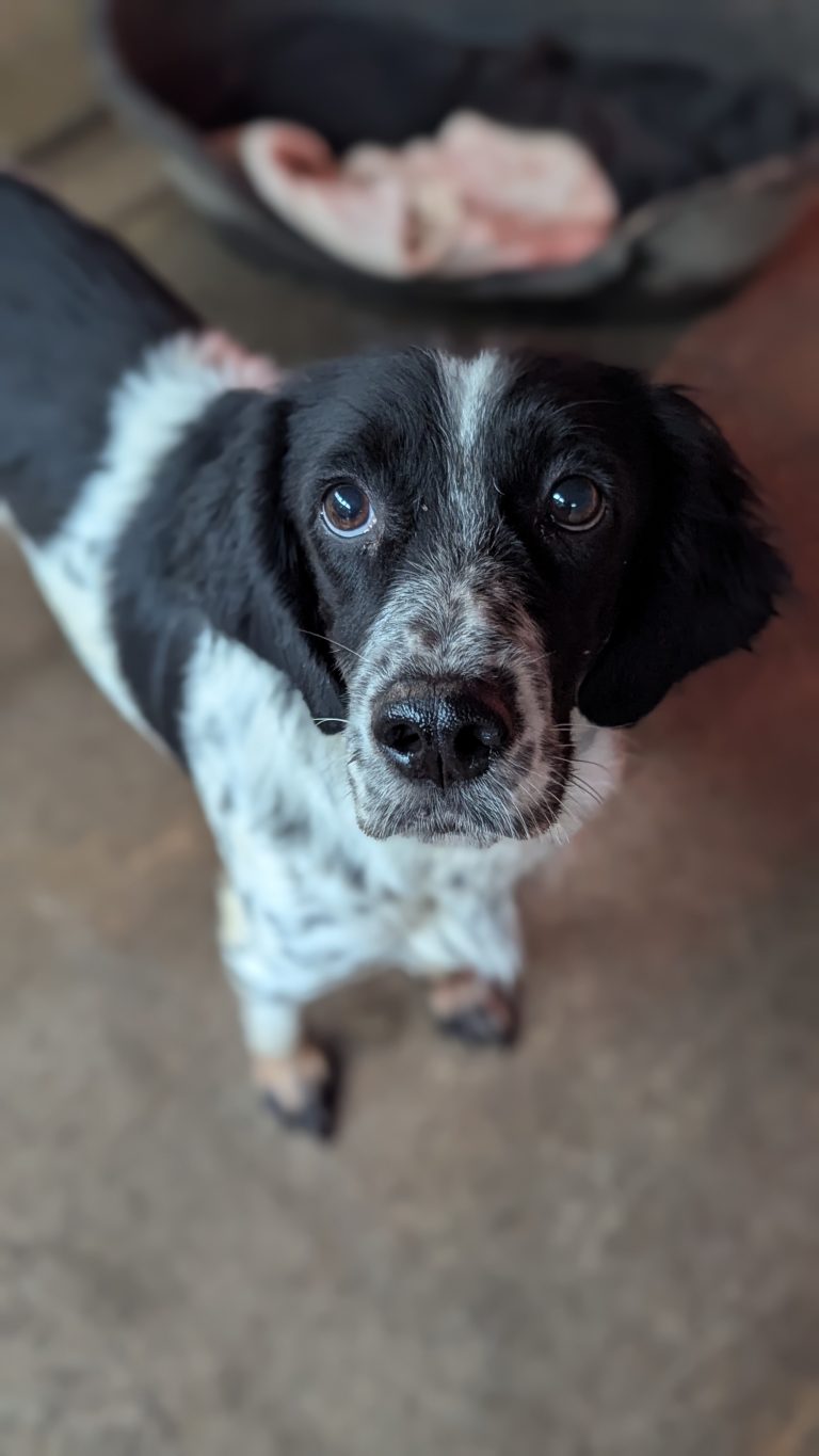 Jenny
