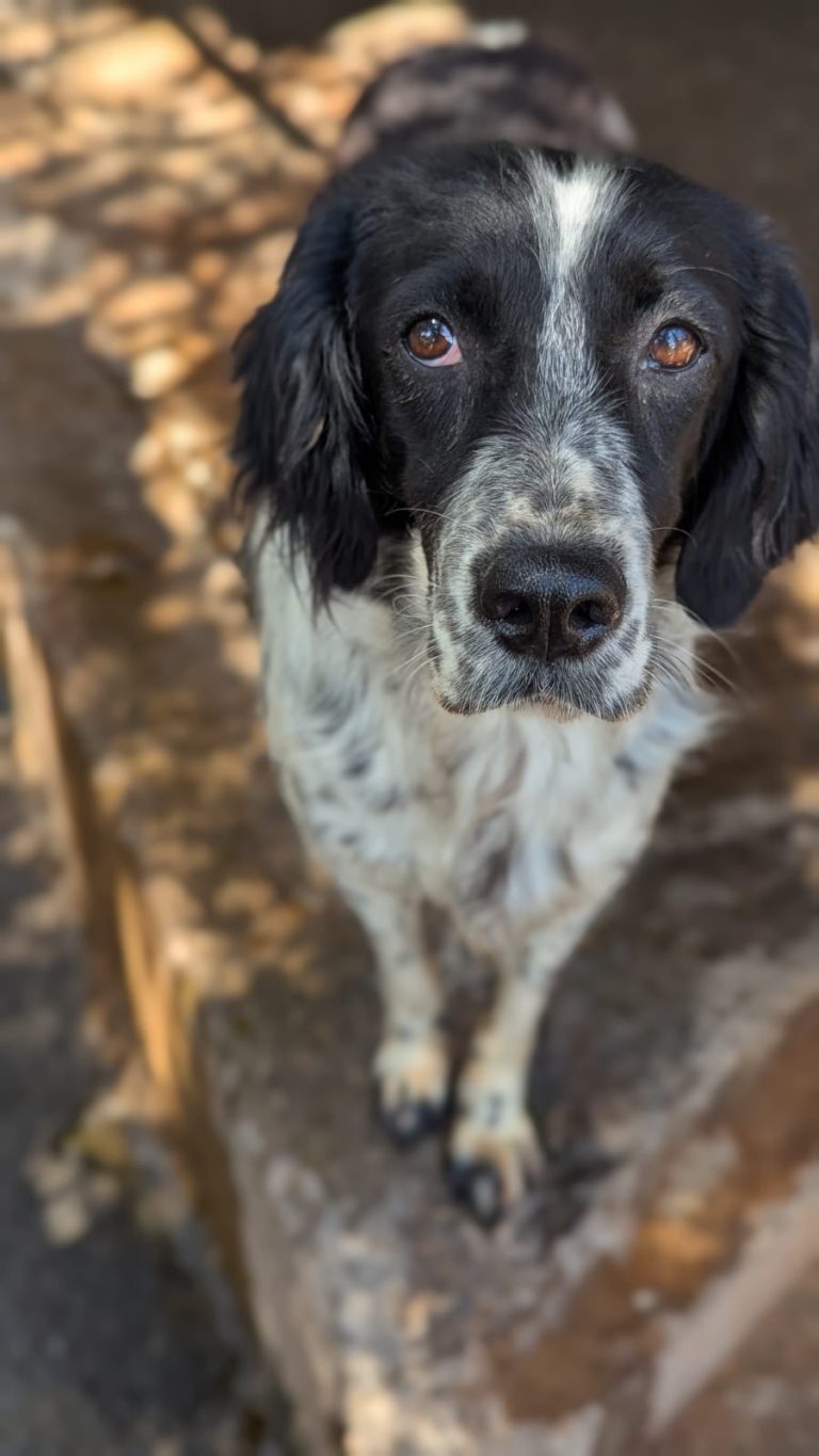 Jenny